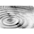 Picture of Ripples _GroupedProduct_Rectangle_Landscape_Photography _GroupedProduct_Rectangle_Landscape_Unframed_Print_Only_