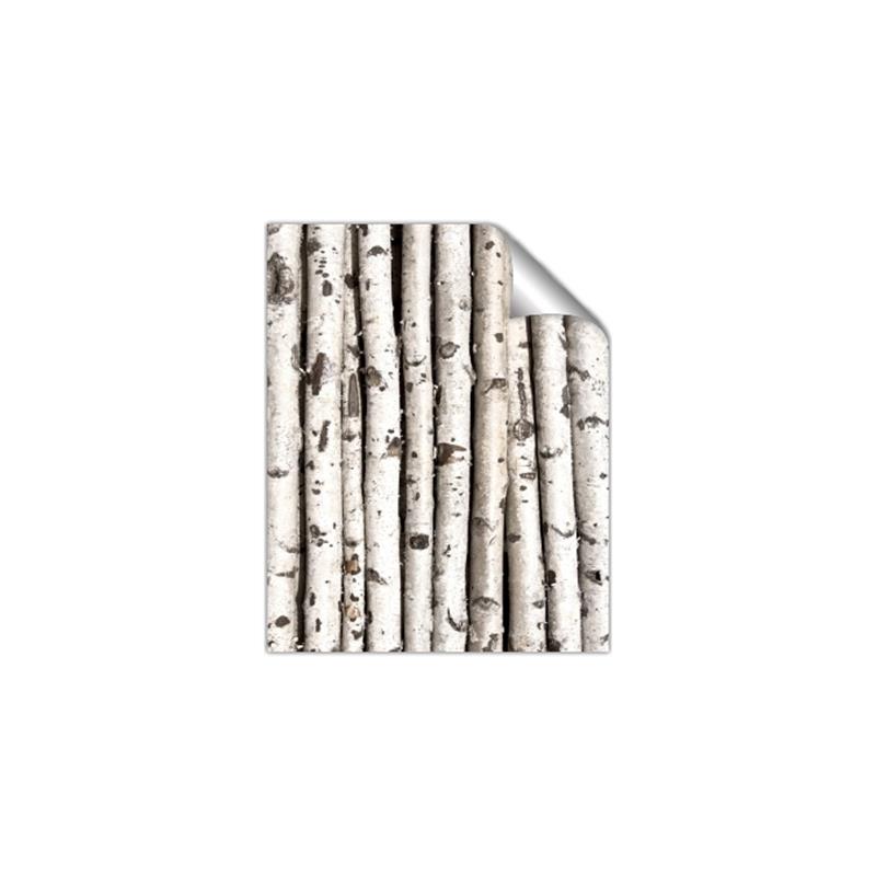Picture of Birch Logs _GroupedProduct_Rectangle_Portrait_Photography _GroupedProduct_Rectangle_Portrait_Unframed_Print_Only_