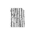 Picture of Birch Logs _GroupedProduct_Rectangle_Portrait_Photography _GroupedProduct_Rectangle_Portrait_Unframed_Print_Only_