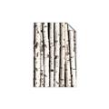 Picture of Birch Logs _GroupedProduct_Rectangle_Portrait_Photography _GroupedProduct_Rectangle_Portrait_Unframed_Print_Only_