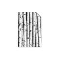 Picture of Birch Logs _GroupedProduct_Rectangle_Portrait_Photography _GroupedProduct_Rectangle_Portrait_Unframed_Print_Only_