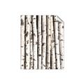 Picture of Birch Logs _GroupedProduct_Rectangle_Portrait_Photography _GroupedProduct_Rectangle_Portrait_Unframed_Print_Only_