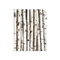Picture of Birch Logs _GroupedProduct_Rectangle_Portrait_Photography _GroupedProduct_Rectangle_Portrait_Unframed_Print_Only_