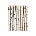 Picture of Birch Logs _GroupedProduct_Rectangle_Portrait_Photography _GroupedProduct_Rectangle_Portrait_Unframed_Print_Only_