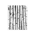 Picture of Birch Logs _GroupedProduct_Rectangle_Portrait_Photography _GroupedProduct_Rectangle_Portrait_Unframed_Print_Only_