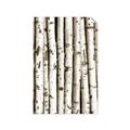 Picture of Birch Logs _GroupedProduct_Rectangle_Portrait_Photography _GroupedProduct_Rectangle_Portrait_Unframed_Print_Only_