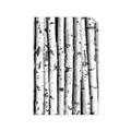 Picture of Birch Logs _GroupedProduct_Rectangle_Portrait_Photography _GroupedProduct_Rectangle_Portrait_Unframed_Print_Only_