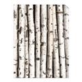Picture of Birch Logs _GroupedProduct_Rectangle_Portrait_Photography _GroupedProduct_Rectangle_Portrait_Unframed_Print_Only_