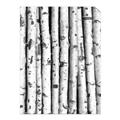 Picture of Birch Logs _GroupedProduct_Rectangle_Portrait_Photography _GroupedProduct_Rectangle_Portrait_Unframed_Print_Only_