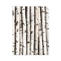 Picture of Birch Logs _GroupedProduct_Rectangle_Portrait_Photography _GroupedProduct_Rectangle_Portrait_Unframed_Print_Only_