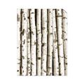 Picture of Birch Logs _GroupedProduct_Rectangle_Portrait_Photography _GroupedProduct_Rectangle_Portrait_Unframed_Print_Only_