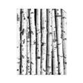 Picture of Birch Logs _GroupedProduct_Rectangle_Portrait_Photography _GroupedProduct_Rectangle_Portrait_Unframed_Print_Only_