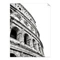 Picture of Colosseum  _GroupedProduct_Rectangle_Portrait_Photography _GroupedProduct_Rectangle_Portrait_Unframed_Print_Only_