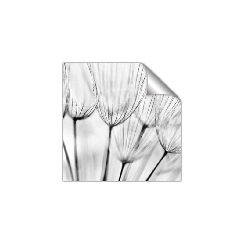 Picture of B&W Flowers end _GroupedProduct_Square_Photography _GroupedProduct_Square_Unframed_Print_Only_
