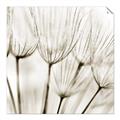 Picture of B&W Flowers end _GroupedProduct_Square_Photography _GroupedProduct_Square_Unframed_Print_Only_