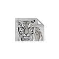 Picture of Big Tiger _GroupedProduct_Rectangle_Landscape_Photography _GroupedProduct_Rectangle_Landscape_Unframed_Print_Only_