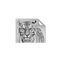 Picture of Big Tiger _GroupedProduct_Rectangle_Landscape_Photography _GroupedProduct_Rectangle_Landscape_Unframed_Print_Only_
