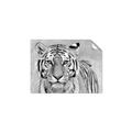 Picture of Big Tiger _GroupedProduct_Rectangle_Landscape_Photography _GroupedProduct_Rectangle_Landscape_Unframed_Print_Only_
