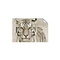 Picture of Big Tiger _GroupedProduct_Rectangle_Landscape_Photography _GroupedProduct_Rectangle_Landscape_Unframed_Print_Only_