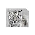 Picture of Big Tiger _GroupedProduct_Rectangle_Landscape_Photography _GroupedProduct_Rectangle_Landscape_Unframed_Print_Only_