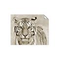 Picture of Big Tiger _GroupedProduct_Rectangle_Landscape_Photography _GroupedProduct_Rectangle_Landscape_Unframed_Print_Only_