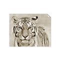 Picture of Big Tiger _GroupedProduct_Rectangle_Landscape_Photography _GroupedProduct_Rectangle_Landscape_Unframed_Print_Only_