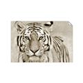 Picture of Big Tiger _GroupedProduct_Rectangle_Landscape_Photography _GroupedProduct_Rectangle_Landscape_Unframed_Print_Only_