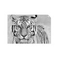 Picture of Big Tiger _GroupedProduct_Rectangle_Landscape_Photography _GroupedProduct_Rectangle_Landscape_Unframed_Print_Only_