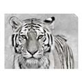 Picture of Big Tiger _GroupedProduct_Rectangle_Landscape_Photography _GroupedProduct_Rectangle_Landscape_Unframed_Print_Only_