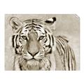 Picture of Big Tiger _GroupedProduct_Rectangle_Landscape_Photography _GroupedProduct_Rectangle_Landscape_Unframed_Print_Only_