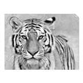 Picture of Big Tiger _GroupedProduct_Rectangle_Landscape_Photography _GroupedProduct_Rectangle_Landscape_Unframed_Print_Only_