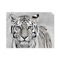 Picture of Big Tiger _GroupedProduct_Rectangle_Landscape_Photography _GroupedProduct_Rectangle_Landscape_Unframed_Print_Only_