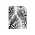 Picture of Web of Trees _GroupedProduct_Rectangle_Portrait_Photography _GroupedProduct_Rectangle_Portrait_Unframed_Print_Only_