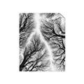 Picture of Web of Trees _GroupedProduct_Rectangle_Portrait_Photography _GroupedProduct_Rectangle_Portrait_Unframed_Print_Only_