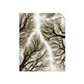 Picture of Web of Trees _GroupedProduct_Rectangle_Portrait_Photography _GroupedProduct_Rectangle_Portrait_Unframed_Print_Only_