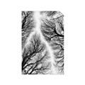 Picture of Web of Trees _GroupedProduct_Rectangle_Portrait_Photography _GroupedProduct_Rectangle_Portrait_Unframed_Print_Only_