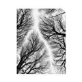 Picture of Web of Trees _GroupedProduct_Rectangle_Portrait_Photography _GroupedProduct_Rectangle_Portrait_Unframed_Print_Only_