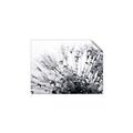 Picture of Dandilion bliss _GroupedProduct_Rectangle_Landscape_Photography _GroupedProduct_Rectangle_Landscape_Unframed_Print_Only_