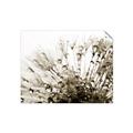 Picture of Dandilion bliss _GroupedProduct_Rectangle_Landscape_Photography _GroupedProduct_Rectangle_Landscape_Unframed_Print_Only_