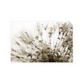 Picture of Dandilion bliss _GroupedProduct_Rectangle_Landscape_Photography _GroupedProduct_Rectangle_Landscape_Unframed_Print_Only_