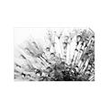 Picture of Dandilion bliss _GroupedProduct_Rectangle_Landscape_Photography _GroupedProduct_Rectangle_Landscape_Unframed_Print_Only_
