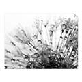 Picture of Dandilion bliss _GroupedProduct_Rectangle_Landscape_Photography _GroupedProduct_Rectangle_Landscape_Unframed_Print_Only_