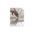 Picture of Elk in the Wild _GroupedProduct_Rectangle_Portrait_Photography _GroupedProduct_Rectangle_Portrait_Unframed_Print_Only_
