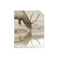 Picture of Elk in the Wild _GroupedProduct_Rectangle_Portrait_Photography _GroupedProduct_Rectangle_Portrait_Unframed_Print_Only_