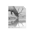 Picture of Elk in the Wild _GroupedProduct_Rectangle_Portrait_Photography _GroupedProduct_Rectangle_Portrait_Unframed_Print_Only_