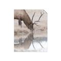 Picture of Elk in the Wild _GroupedProduct_Rectangle_Portrait_Photography _GroupedProduct_Rectangle_Portrait_Unframed_Print_Only_