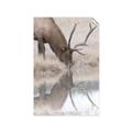 Picture of Elk in the Wild _GroupedProduct_Rectangle_Portrait_Photography _GroupedProduct_Rectangle_Portrait_Unframed_Print_Only_