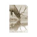 Picture of Elk in the Wild _GroupedProduct_Rectangle_Portrait_Photography _GroupedProduct_Rectangle_Portrait_Unframed_Print_Only_