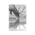 Picture of Elk in the Wild _GroupedProduct_Rectangle_Portrait_Photography _GroupedProduct_Rectangle_Portrait_Unframed_Print_Only_