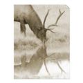 Picture of Elk in the Wild _GroupedProduct_Rectangle_Portrait_Photography _GroupedProduct_Rectangle_Portrait_Unframed_Print_Only_